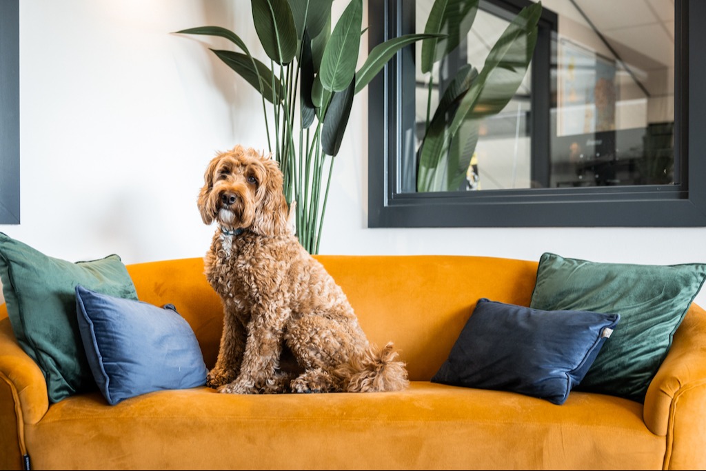 Gallery gallery_images_3_5_17689447821824927626.jpg  | De Occasion Fabriek